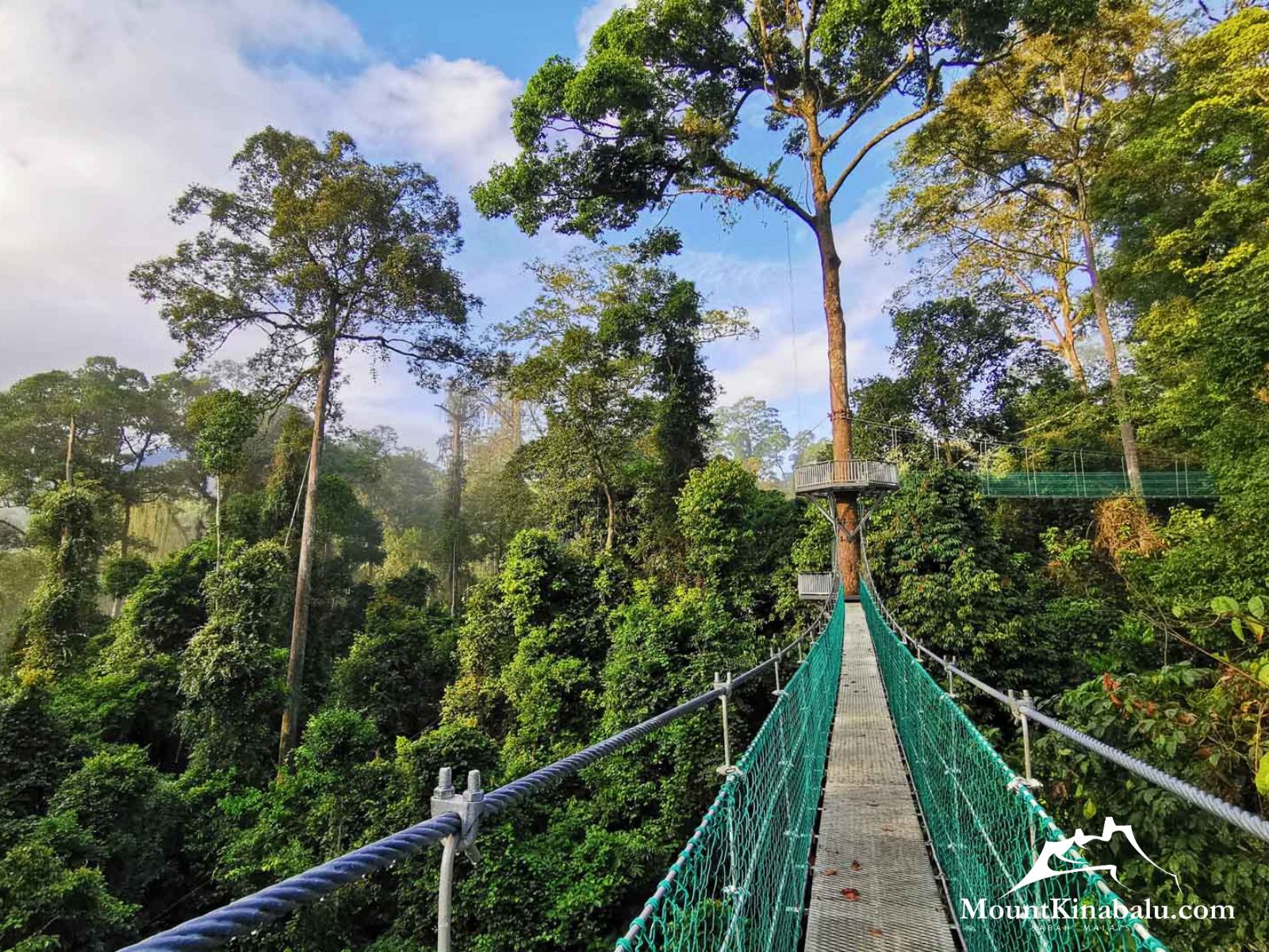 Borneo Rainforest Lodge - Canopy Walkway